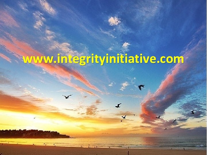 www. integrityinitiative. com 