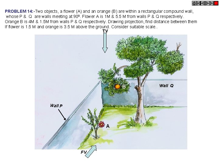 PROBLEM 14: -Two objects, a flower (A) and an orange (B) are within a