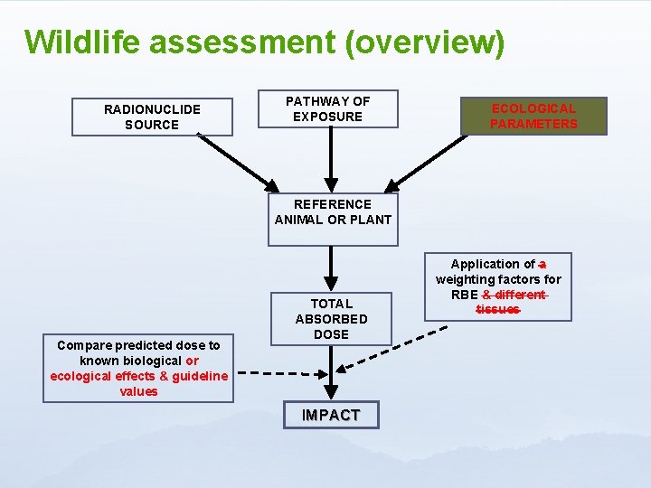 Wildlife assessment (overview) RADIONUCLIDE SOURCE PATHWAY OF EXPOSURE ECOLOGICAL HABITS DATA PARAMETERS REFERENCE ANIMAL