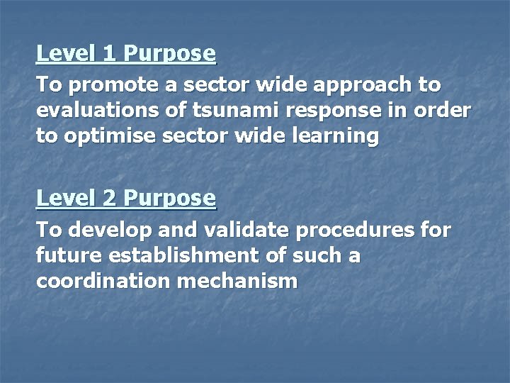 Level 1 Purpose To promote a sector wide approach to evaluations of tsunami response