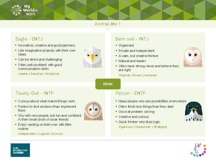 Animal Me 1 Eagle - ENTJ Barn owl - INTJ • Innovative, creative and