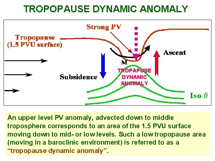 TROPOPAUSE DYNAMIC ANOMALY TROPAPUSE DYNAMIC ANOMALY An upper level PV anomaly, advected down to