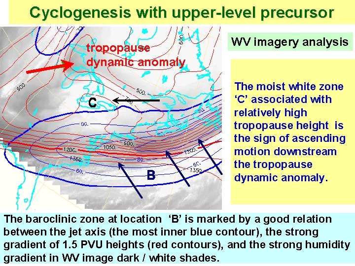 Cyclogenesis with upper-level precursor tropopause dynamic anomaly WV imagery analysis The moist white zone