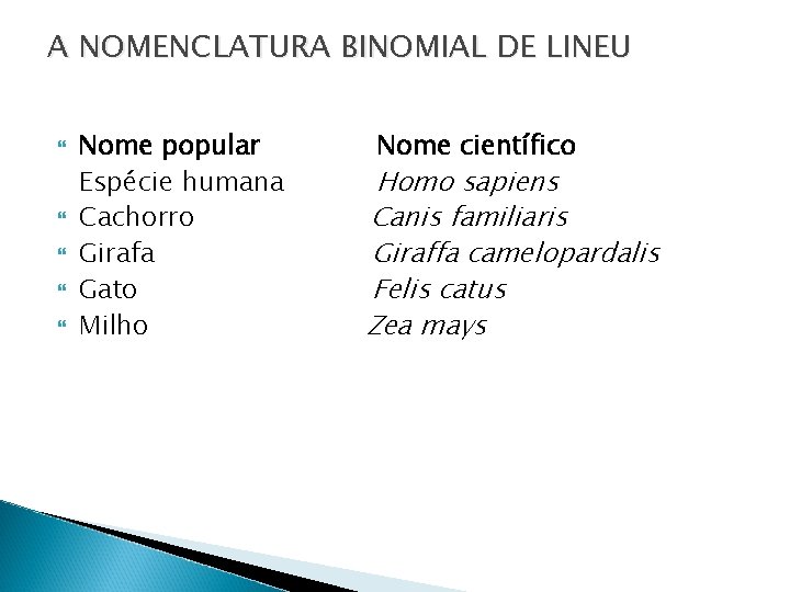 A NOMENCLATURA BINOMIAL DE LINEU Nome popular Espécie humana Cachorro Girafa Gato Milho Nome