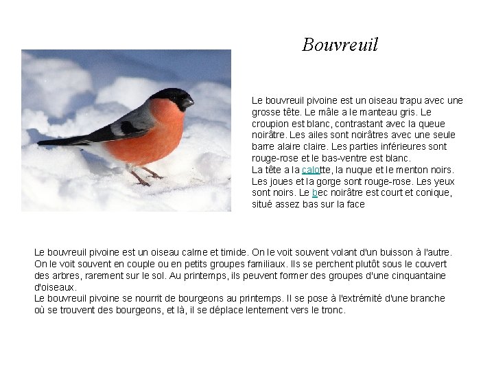 Bouvreuil Le bouvreuil pivoine est un oiseau trapu avec une grosse tête. Le mâle