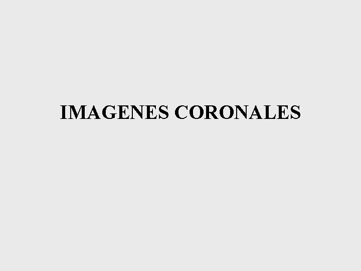 IMAGENES CORONALES 