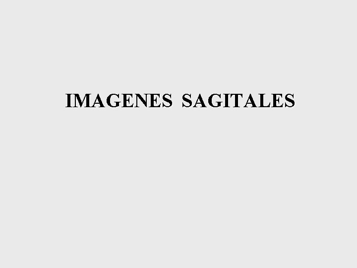 IMAGENES SAGITALES 