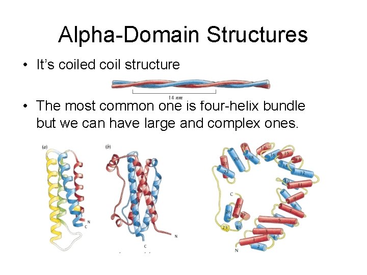 Alpha-Domain Structures • It’s coiled coil structure • The most common one is four-helix