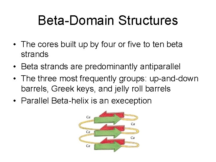 Beta-Domain Structures • The cores built up by four or five to ten beta