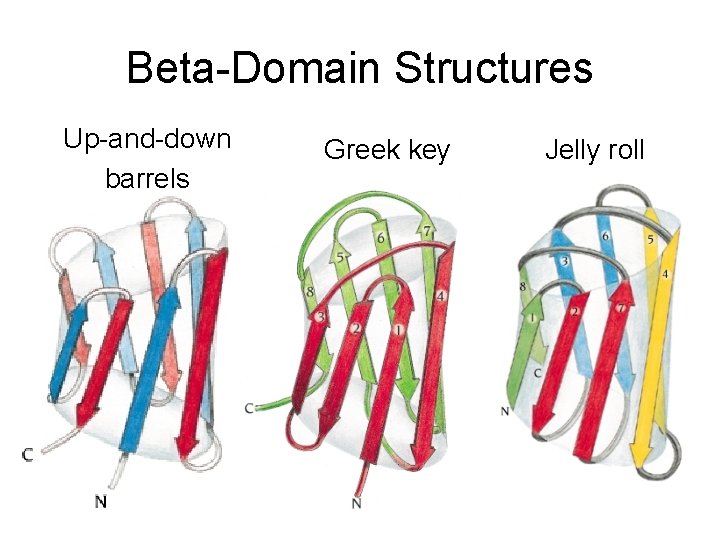 Beta-Domain Structures Up-and-down barrels Greek key Jelly roll 