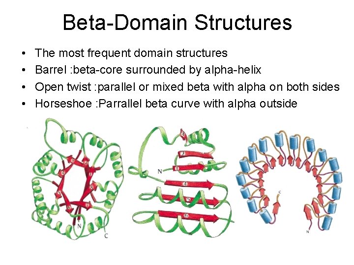 Beta-Domain Structures • • The most frequent domain structures Barrel : beta-core surrounded by