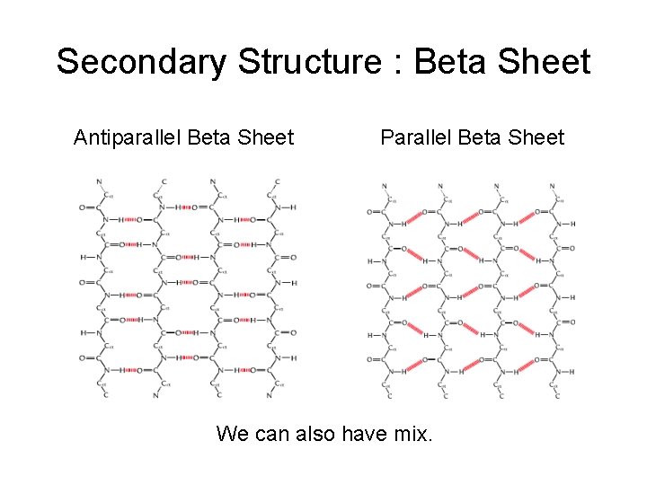 Secondary Structure : Beta Sheet Antiparallel Beta Sheet Parallel Beta Sheet We can also