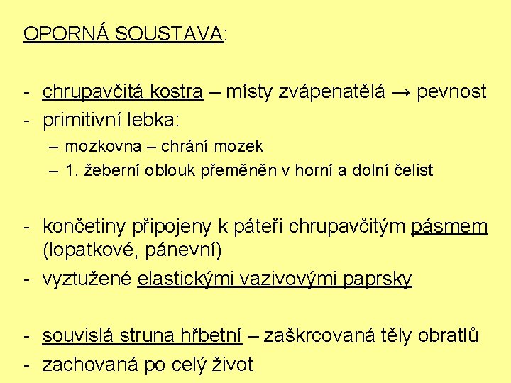 OPORNÁ SOUSTAVA: - chrupavčitá kostra – místy zvápenatělá → pevnost - primitivní lebka: –