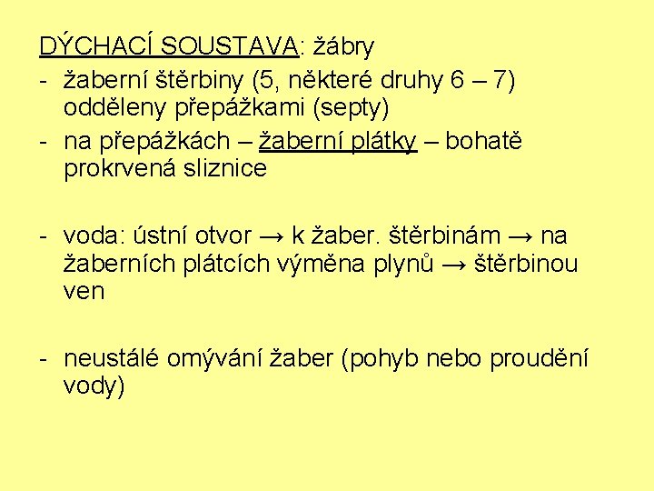 DÝCHACÍ SOUSTAVA: žábry - žaberní štěrbiny (5, některé druhy 6 – 7) odděleny přepážkami