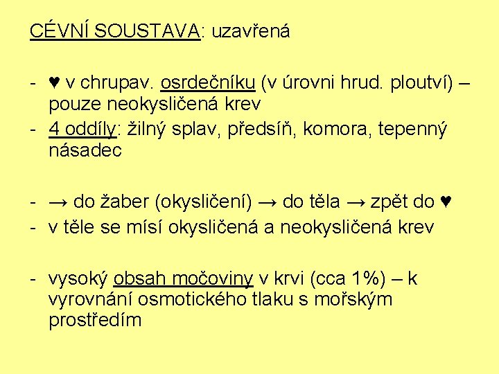 CÉVNÍ SOUSTAVA: uzavřená - ♥ v chrupav. osrdečníku (v úrovni hrud. ploutví) – pouze