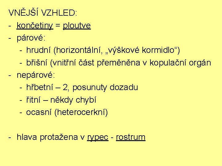 VNĚJŠÍ VZHLED: - končetiny = ploutve - párové: - hrudní (horizontální, „výškové kormidlo“) -