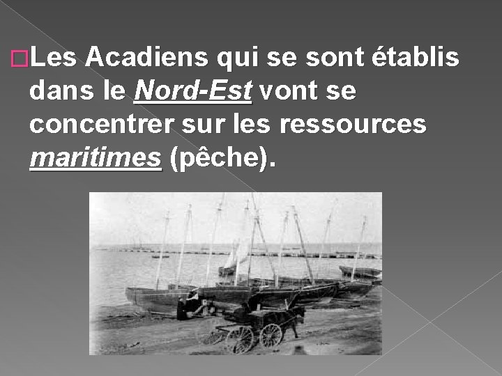 �Les Acadiens qui se sont établis dans le Nord-Est vont se concentrer sur les