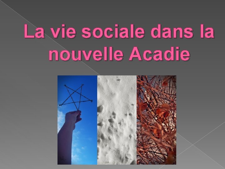La vie sociale dans la nouvelle Acadie 