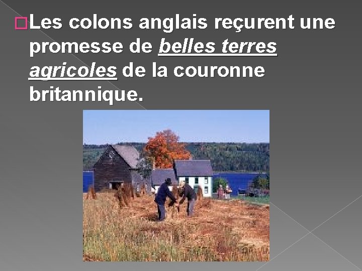 �Les colons anglais reçurent une promesse de belles terres agricoles de la couronne britannique.