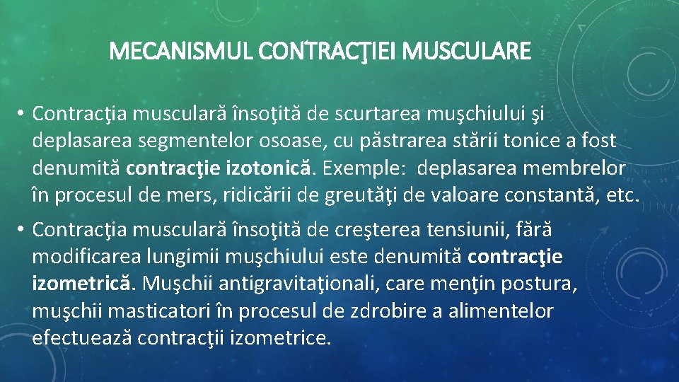 MECANISMUL CONTRACŢIEI MUSCULARE • Contracţia musculară însoţită de scurtarea muşchiului şi deplasarea segmentelor osoase, MECANISMUL CONTRACŢIEI MUSCULARE • Contracţia musculară însoţită de scurtarea muşchiului şi deplasarea segmentelor osoase,