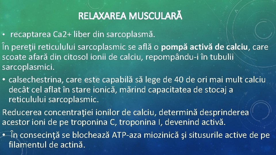 RELAXAREA MUSCULARĂ • recaptarea Ca 2+ liber din sarcoplasmă. În pereţii reticulului sarcoplasmic se RELAXAREA MUSCULARĂ • recaptarea Ca 2+ liber din sarcoplasmă. În pereţii reticulului sarcoplasmic se