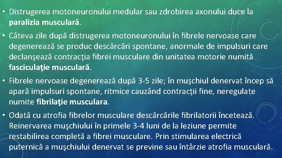 • Distrugerea motoneuronului medular sau zdrobirea axonului duce la paralizia musculară. • Câteva • Distrugerea motoneuronului medular sau zdrobirea axonului duce la paralizia musculară. • Câteva