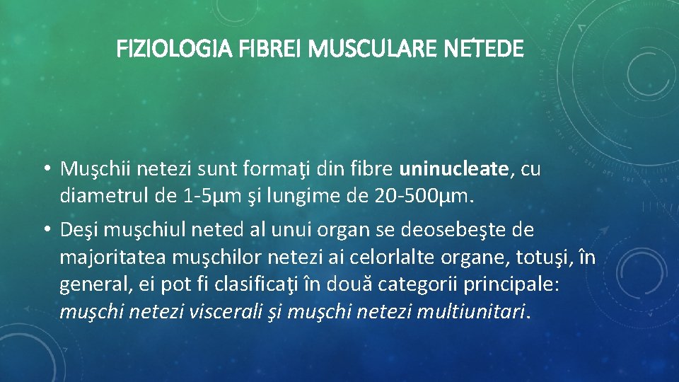 FIZIOLOGIA FIBREI MUSCULARE NETEDE • Muşchii netezi sunt formaţi din fibre uninucleate, cu diametrul FIZIOLOGIA FIBREI MUSCULARE NETEDE • Muşchii netezi sunt formaţi din fibre uninucleate, cu diametrul
