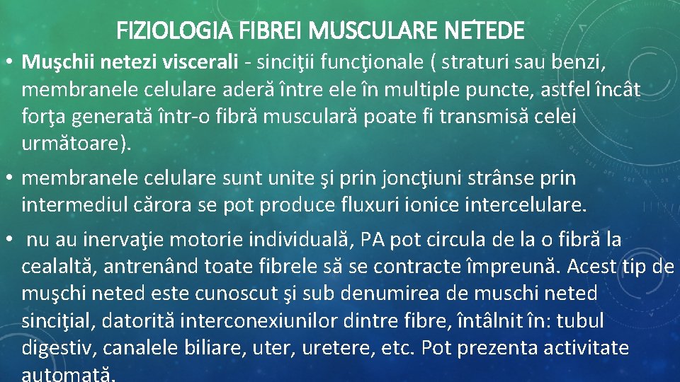 FIZIOLOGIA FIBREI MUSCULARE NETEDE • Muşchii netezi viscerali - sinciţii funcţionale ( straturi sau FIZIOLOGIA FIBREI MUSCULARE NETEDE • Muşchii netezi viscerali - sinciţii funcţionale ( straturi sau