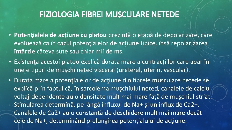 FIZIOLOGIA FIBREI MUSCULARE NETEDE • Potenţialele de acţiune cu platou prezintă o etapă de FIZIOLOGIA FIBREI MUSCULARE NETEDE • Potenţialele de acţiune cu platou prezintă o etapă de