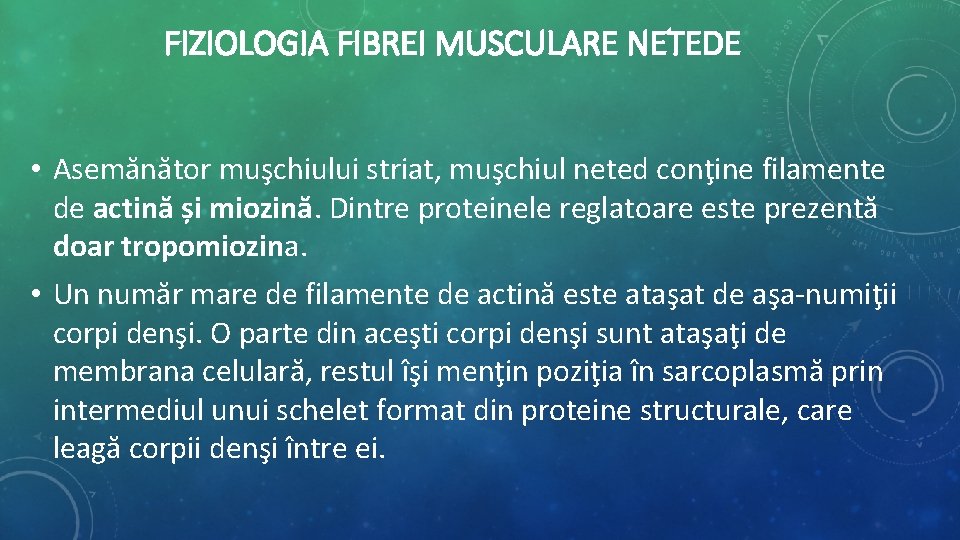 FIZIOLOGIA FIBREI MUSCULARE NETEDE • Asemănător muşchiului striat, muşchiul neted conţine filamente de actină FIZIOLOGIA FIBREI MUSCULARE NETEDE • Asemănător muşchiului striat, muşchiul neted conţine filamente de actină