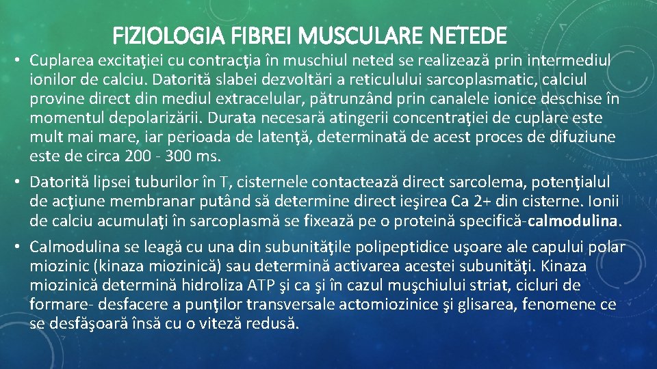 FIZIOLOGIA FIBREI MUSCULARE NETEDE • Cuplarea excitaţiei cu contracţia în muschiul neted se realizează FIZIOLOGIA FIBREI MUSCULARE NETEDE • Cuplarea excitaţiei cu contracţia în muschiul neted se realizează