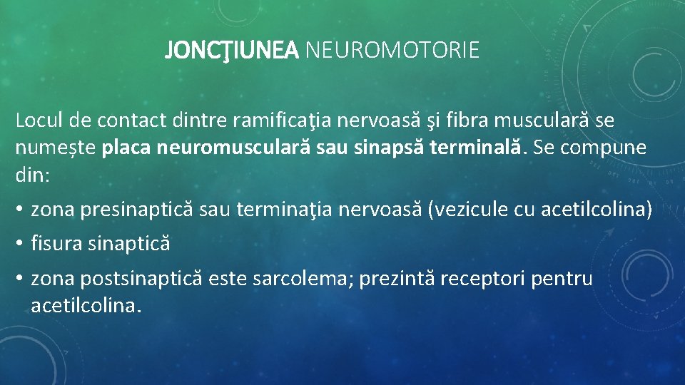 JONCŢIUNEA NEUROMOTORIE Locul de contact dintre ramificaţia nervoasă şi fibra musculară se numește placa JONCŢIUNEA NEUROMOTORIE Locul de contact dintre ramificaţia nervoasă şi fibra musculară se numește placa