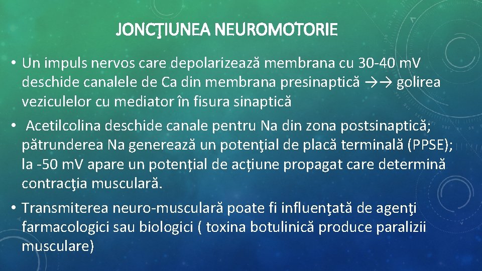 JONCŢIUNEA NEUROMOTORIE • Un impuls nervos care depolarizează membrana cu 30 -40 m. V JONCŢIUNEA NEUROMOTORIE • Un impuls nervos care depolarizează membrana cu 30 -40 m. V