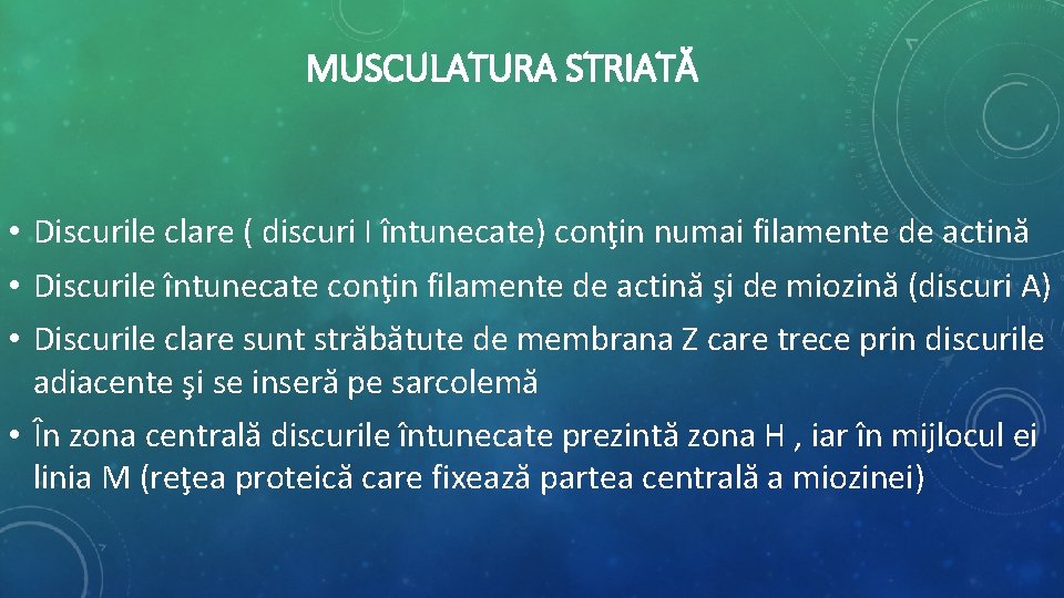 MUSCULATURA STRIATĂ • Discurile clare ( discuri I întunecate) conţin numai filamente de actină MUSCULATURA STRIATĂ • Discurile clare ( discuri I întunecate) conţin numai filamente de actină