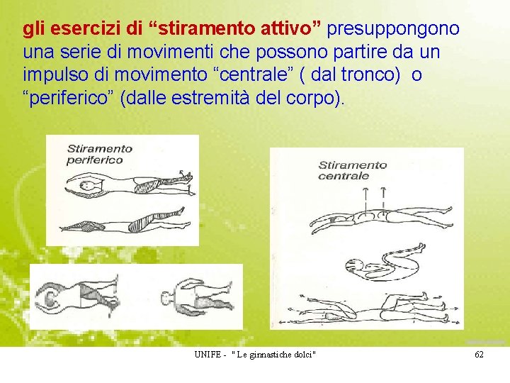 gli esercizi di “stiramento attivo” presuppongono una serie di movimenti che possono partire da