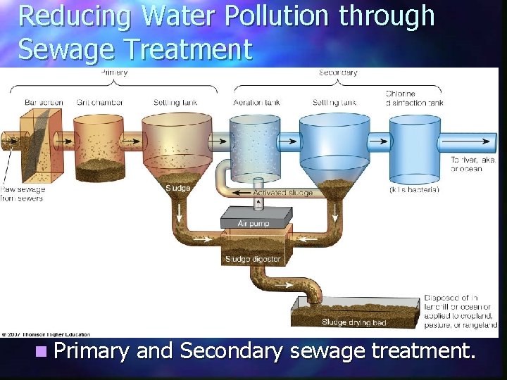 Reducing Water Pollution through Sewage Treatment n Primary and Secondary sewage treatment. 