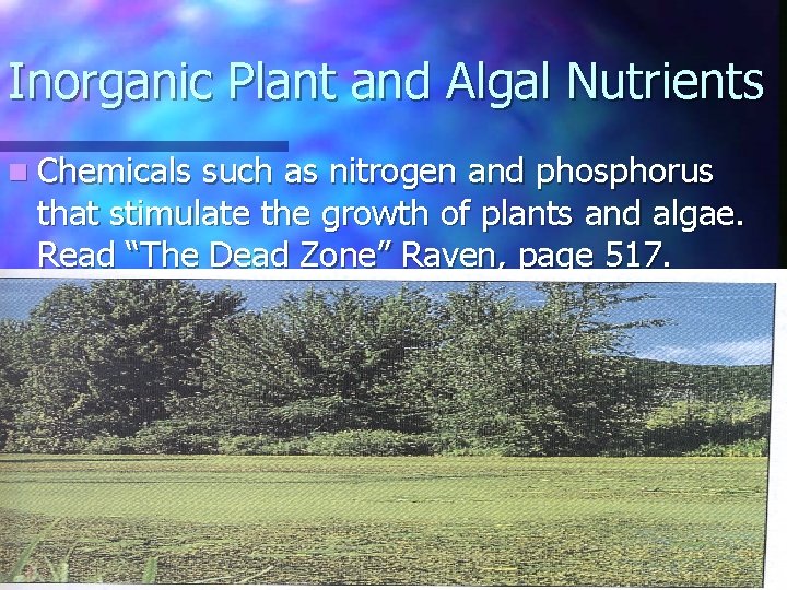 Inorganic Plant and Algal Nutrients n Chemicals such as nitrogen and phosphorus that stimulate
