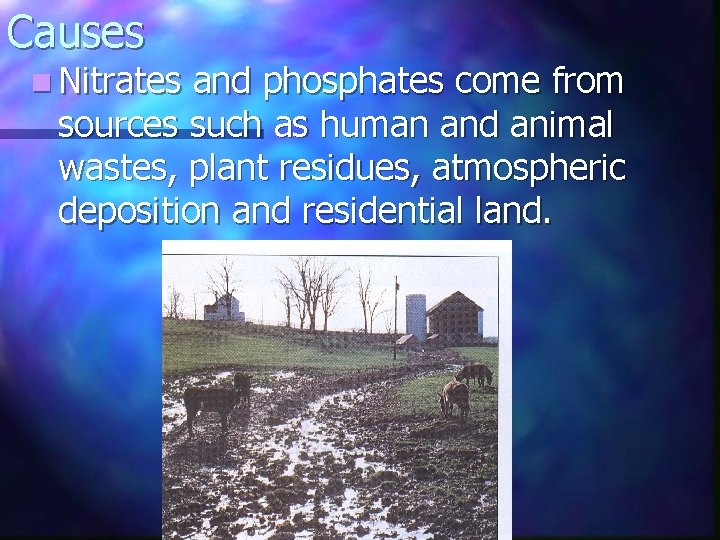 Causes n Nitrates and phosphates come from sources such as human and animal wastes,
