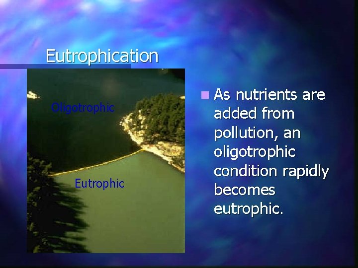 Eutrophication Oligotrophic Eutrophic n As nutrients are added from pollution, an oligotrophic condition rapidly