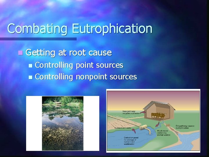 Combating Eutrophication n Getting at root cause Controlling point sources n Controlling nonpoint sources