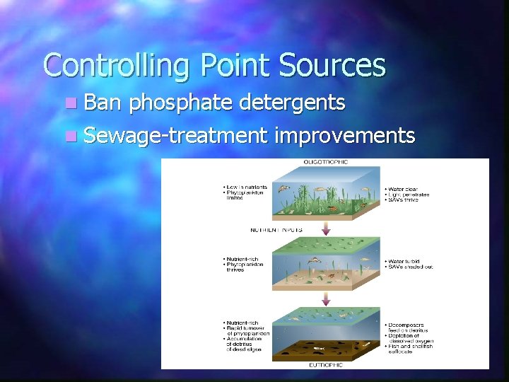 Controlling Point Sources n Ban phosphate detergents n Sewage-treatment improvements 
