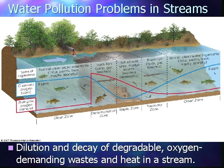 Water Pollution Problems in Streams n Dilution and decay of degradable, oxygendemanding wastes and