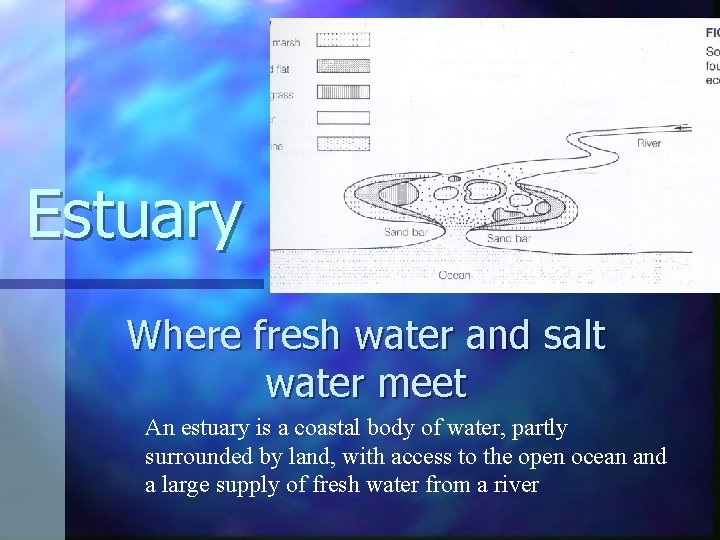 Estuary Where fresh water and salt water meet An estuary is a coastal body