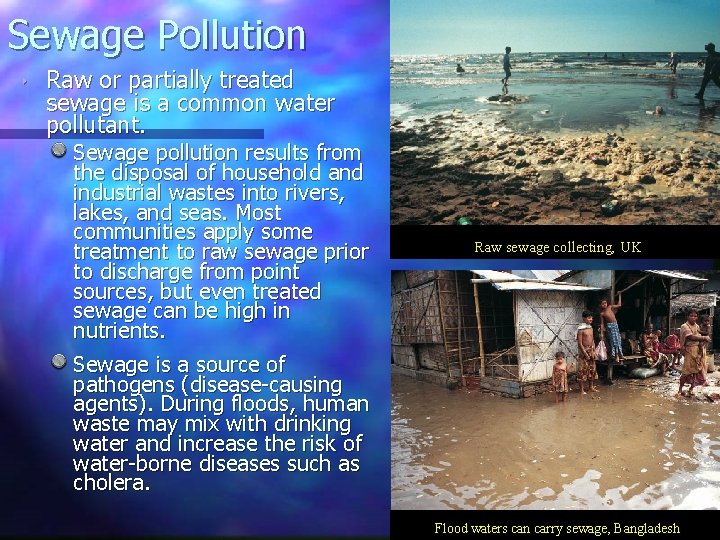 Sewage Pollution ‣ Raw or partially treated sewage is a common water pollutant. Sewage