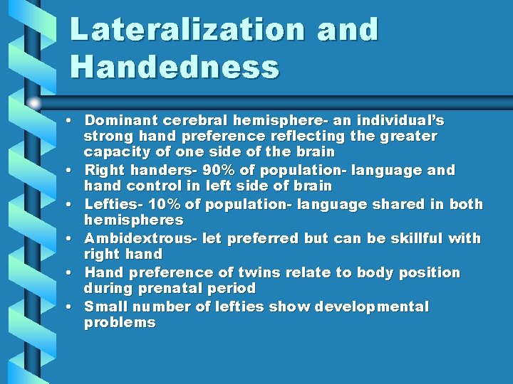 Lateralization and Handedness • Dominant cerebral hemisphere- an individual’s strong hand preference reflecting the