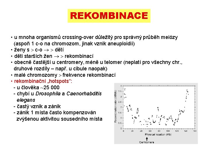REKOMBINACE • u mnoha organismů crossing-over důležitý pro správný průběh meiózy (aspoň 1 c-o