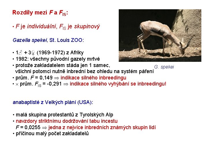 Rozdíly mezi F a FIS: • F je individuální, FIS je skupinový Gazella spekei,