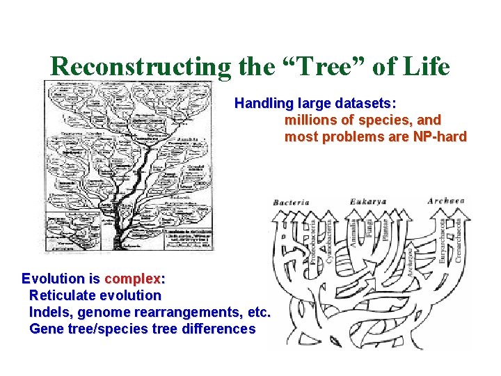 Reconstructing the “Tree” of Life Handling large datasets: millions of species, and most problems