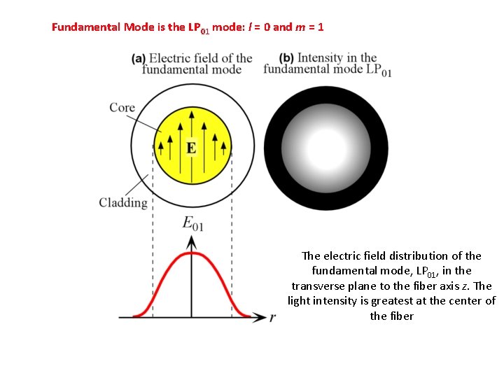 Fundamental Mode is the LP 01 mode: l = 0 and m = Fundamental Mode is the LP 01 mode: l = 0 and m =
