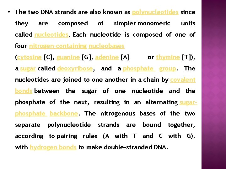 • The two DNA strands are also known as polynucleotides since they are